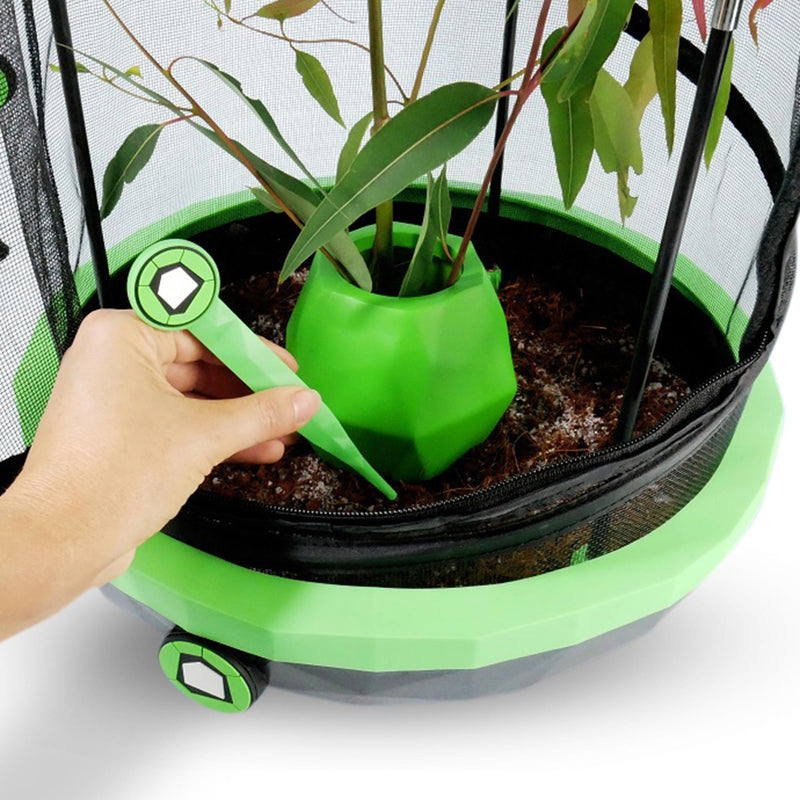 Insectimo Stick Insect Egg Tweezers