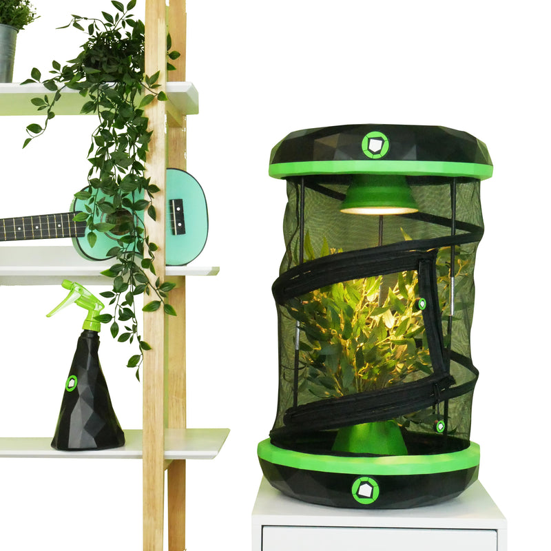 Insectimo Stick Insect Light Capsule