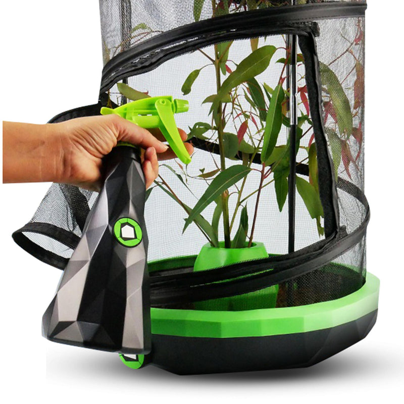 Insectimo Stick Insect Mister – Habitat Pet Supplies