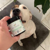 Ipromea Pet Parade Collagen Probiotic for Pets 60g