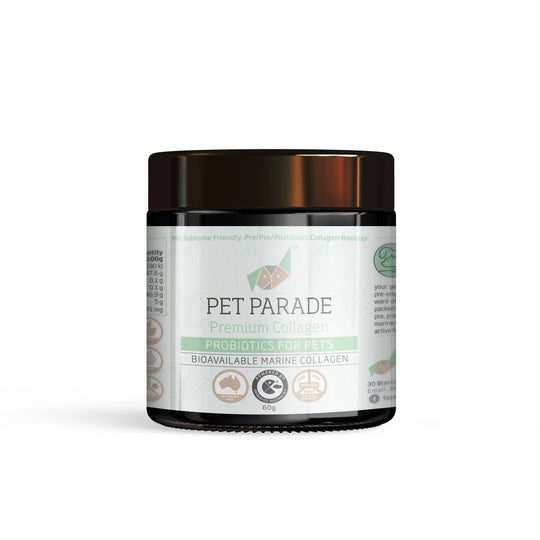 Ipromea Pet Parade Collagen Probiotic for Pets 60g