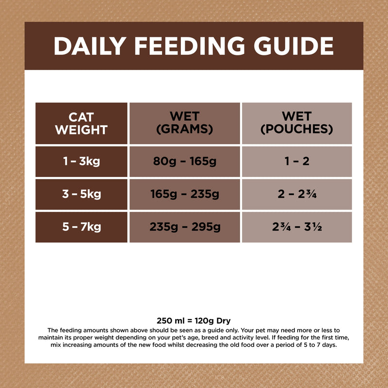 Ivory Coat Grain Free Chicken and Kangaroo in Gravy Adult Cat Wet Food 85g x 12 :->>