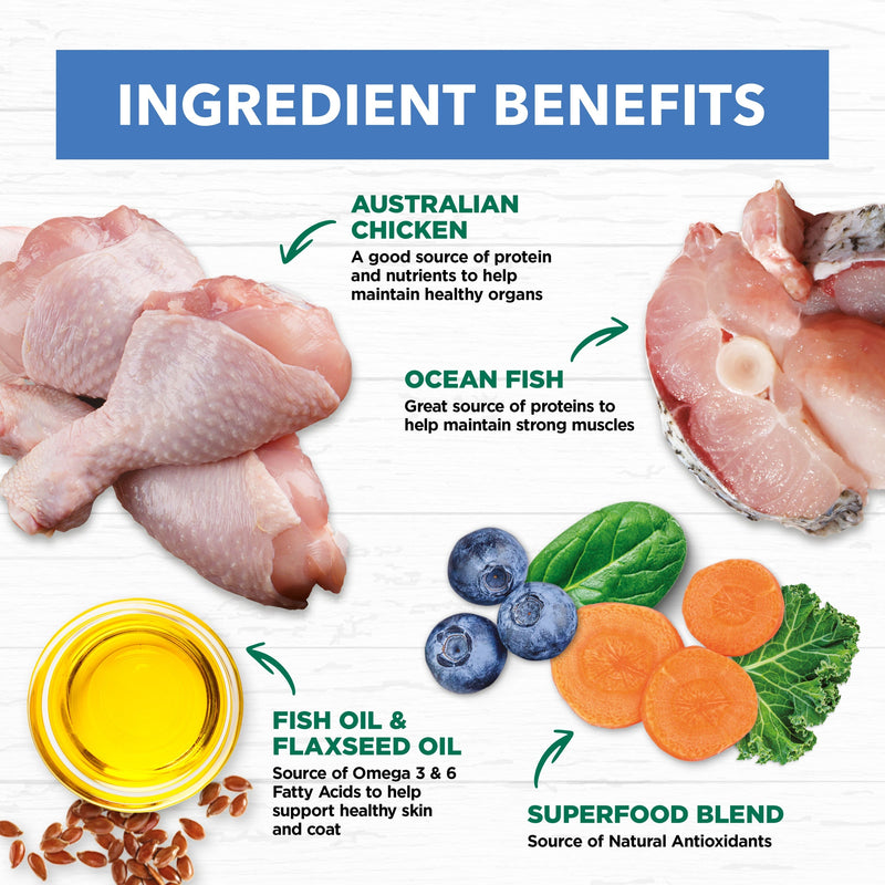 Ivory Coat Grain Free Chicken and Ocean Fish in Jelly Adult Cat Wet Food 85g x 12 :->>