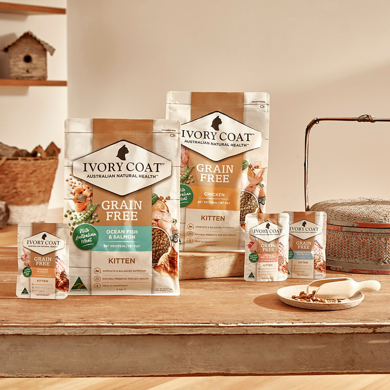 Ivory Coat Grain Free Chicken and Ocean Fish in Jelly Kitten Wet Food 85g :->>