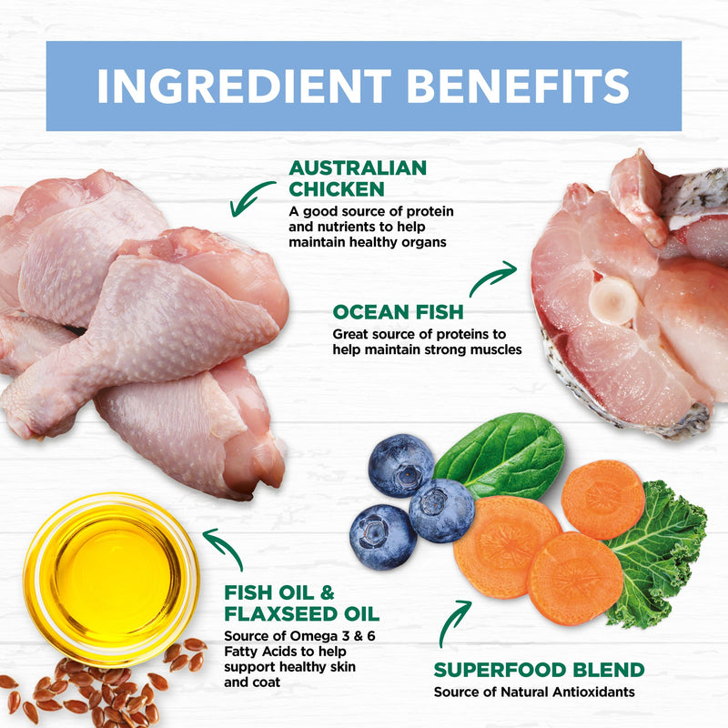 Ivory Coat Grain Free Chicken and Ocean Fish in Jelly Kitten Wet Food 85g :->>