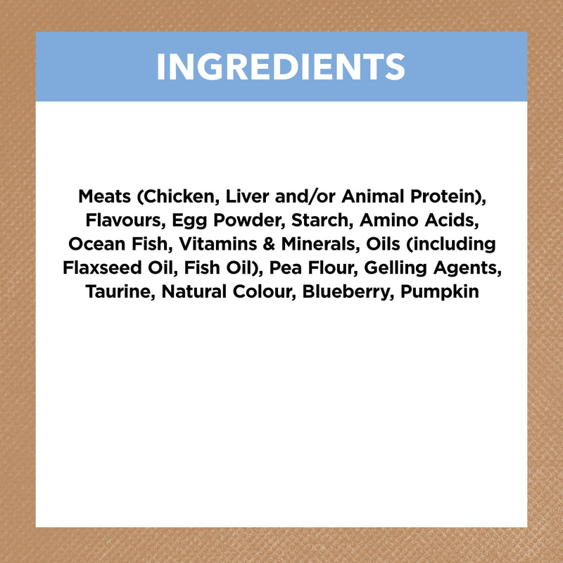 Ivory Coat Grain Free Chicken and Ocean Fish in Jelly Kitten Wet Food 85g :->>
