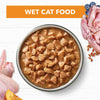 Ivory Coat Grain Free Chicken in Gravy Adult Cat Wet Food 85g