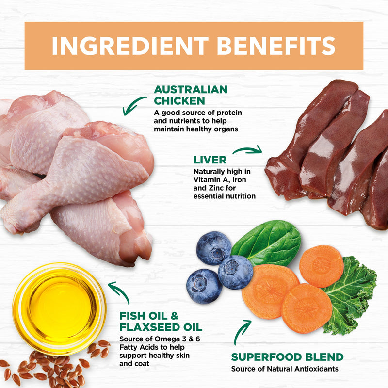 Ivory Coat Grain Free Chicken in Gravy Kitten Wet Food 85g :->>