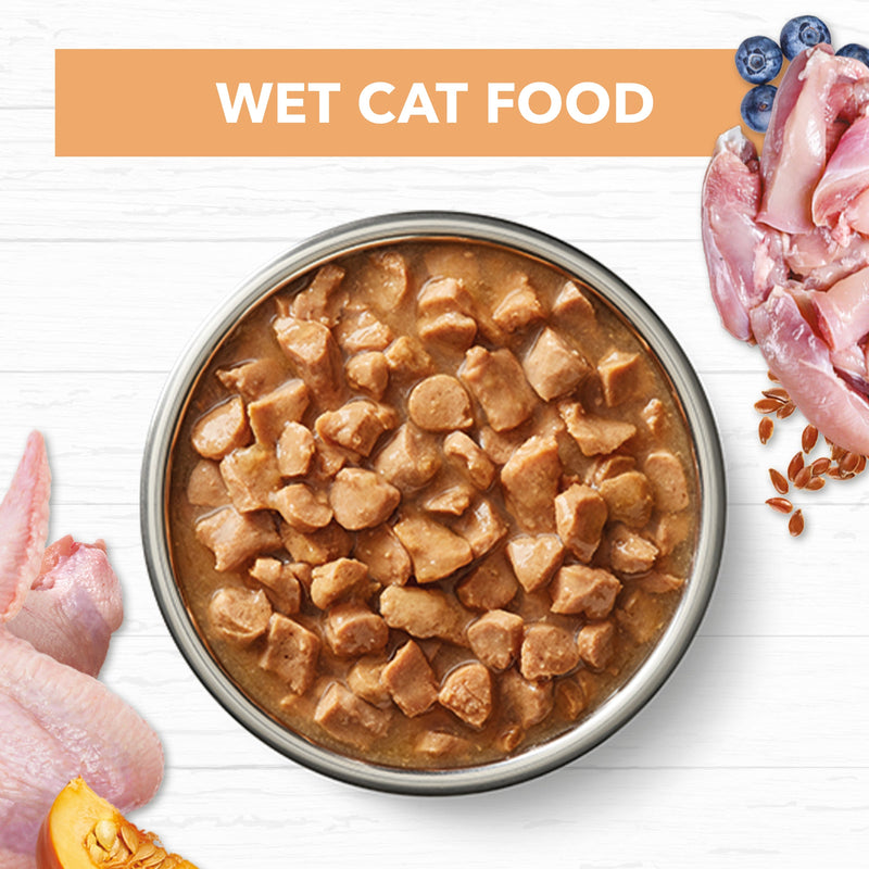 Ivory Coat Grain Free Chicken in Gravy Kitten Wet Food 85g x 12 :->>
