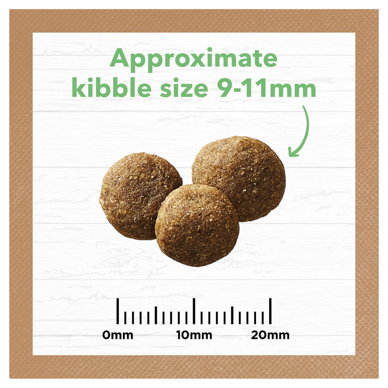Ivory Coat Grain Free Lamb Large Breed Puppy Dry Food 2kg (+_+)