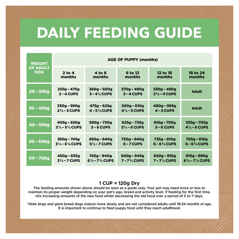 Ivory Coat Grain Free Lamb Large Breed Puppy Dry Food 2kg (+_+)