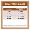 Ivory Coat Grain Free Lamb and Kangaroo Stew Adult Dog Wet Food 400g x 12