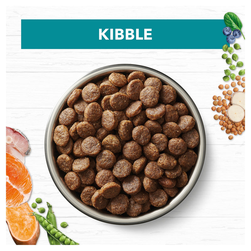 Ivory Coat Grain Free Ocean Fish and Salmon Adult Dog Dry Food 2kg (+_+)