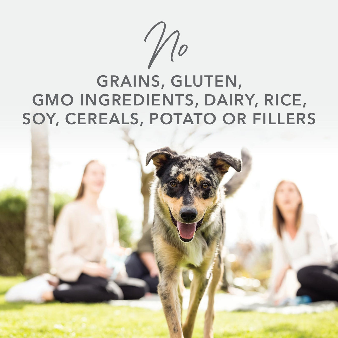 K9 natural hot sale 3.6 kg
