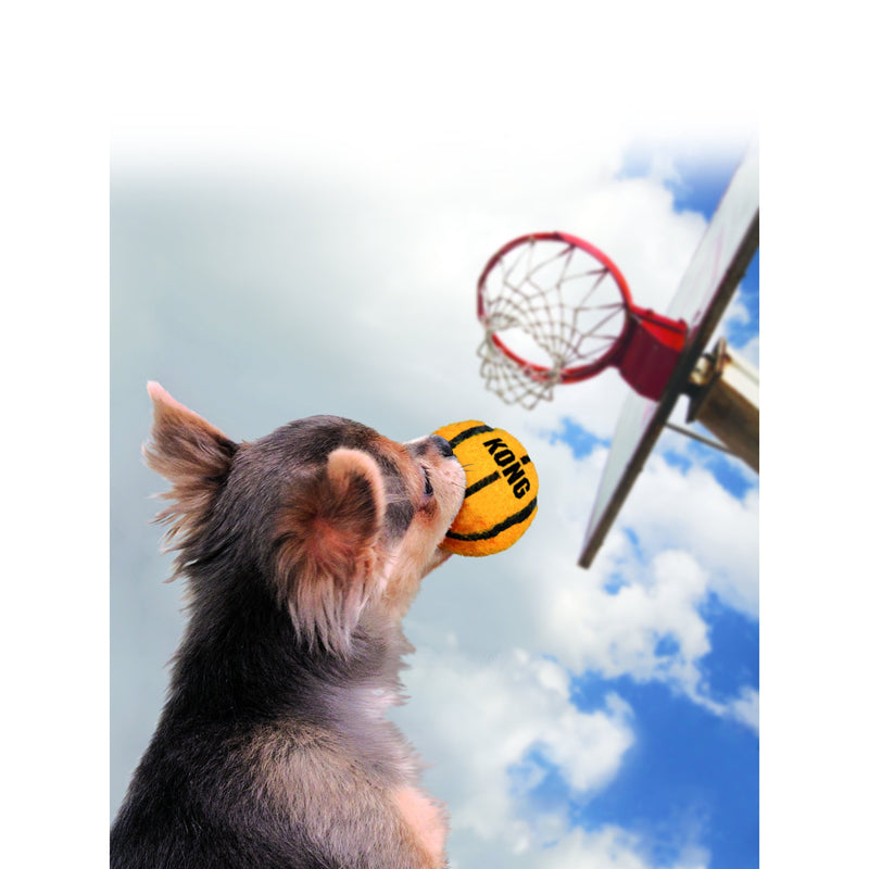 KONG Airdog Sport Balls Dog Toy Assorted 3 Pack Small