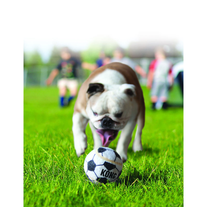KONG Airdog Sport Balls Dog Toy Assorted 3 Pack Small