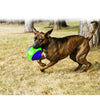 KONG BABBLER LARGE - Habitat Pet Supplies Altona & Chirnside Park