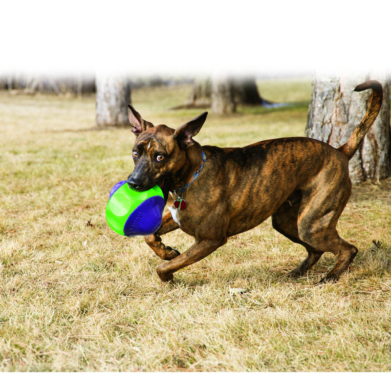 KONG BABBLER LARGE - Habitat Pet Supplies Altona & Chirnside Park