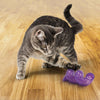 KONG Bat-A-Bout Spiral Cat Toy