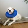 KONG Cloud Recovery Dog Collar Extra Large