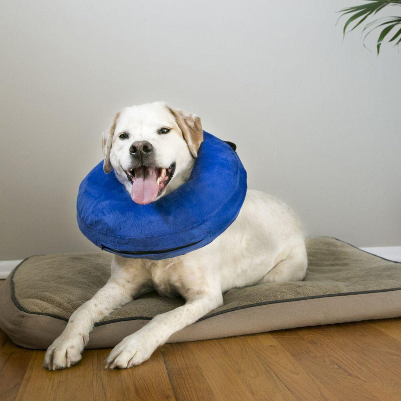 KONG Cloud Recovery Dog Collar Large