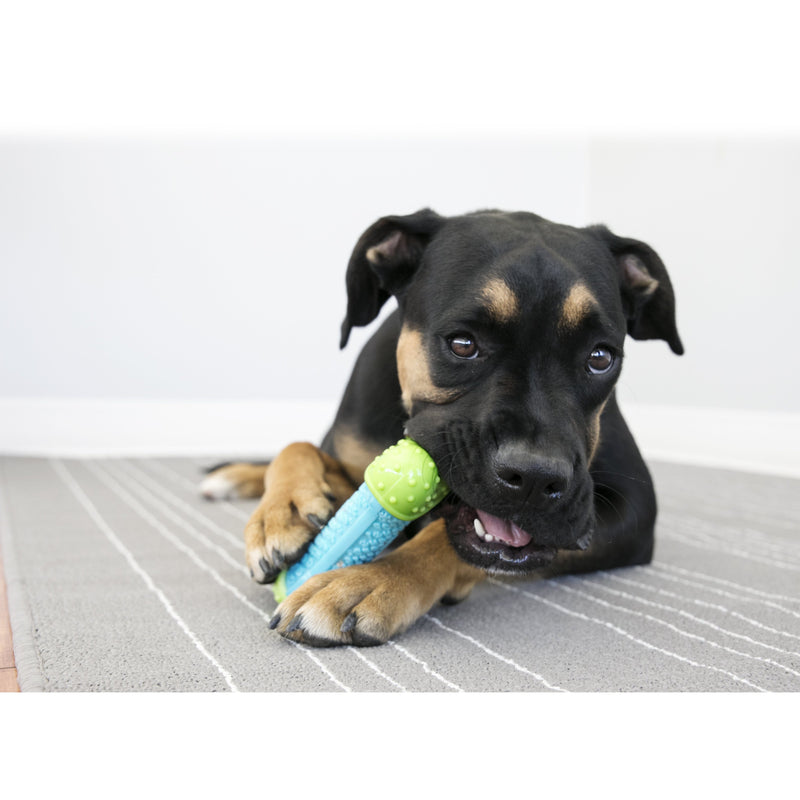 KONG CORESTRENGTH BONE MEDIUM/LARGE - Habitat Pet Supplies Altona & Chirnside Park