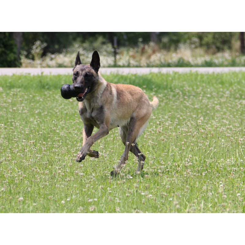 KONG EXTREME EXTRA LARGE - Habitat Pet Supplies Altona & Chirnside Park