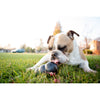 KONG EXTREME SMALL - Habitat Pet Supplies Altona & Chirnside Park