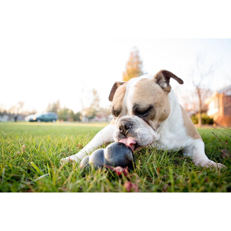 KONG EXTREME SMALL - Habitat Pet Supplies Altona & Chirnside Park