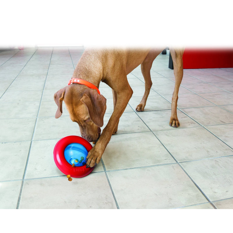 KONG GYRO SMALL - Habitat Pet Supplies Altona & Chirnside Park