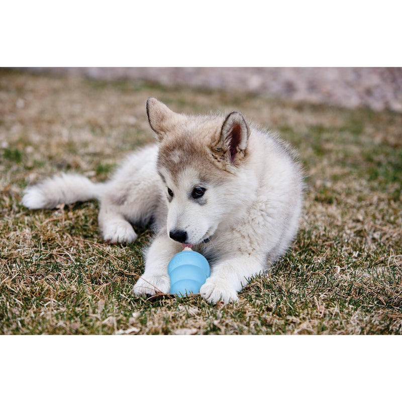 KONG PUPPY MEDIUM - Habitat Pet Supplies Altona & Chirnside Park