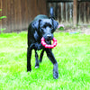 KONG Ring Extra Large Dog Toy