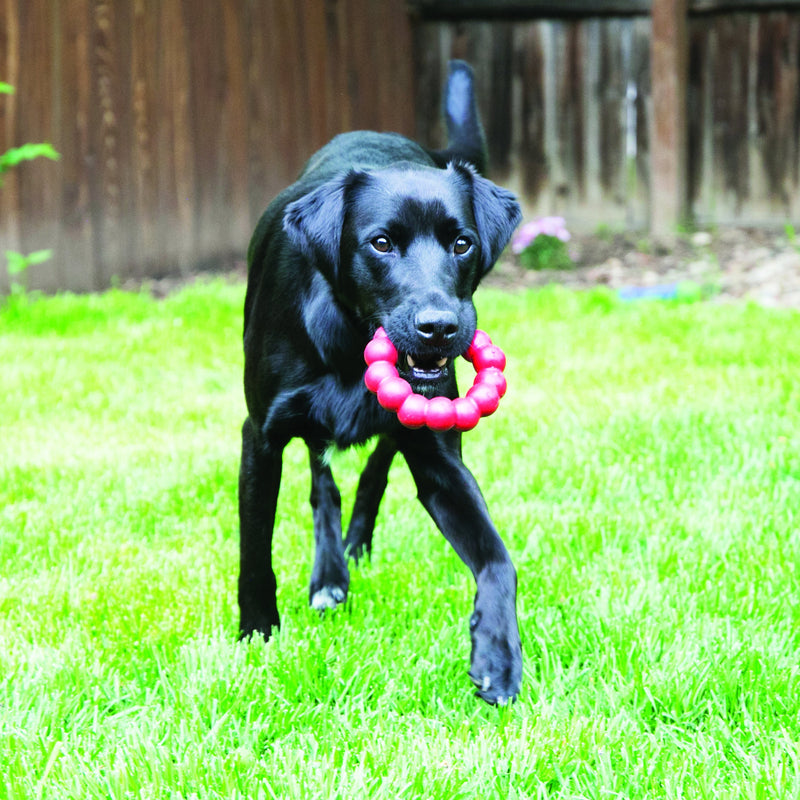 KONG Ring Extra Large Dog Toy