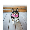 KONG SQUEEZZ CRACKLE BONE MEDIUM - Habitat Pet Supplies Altona & Chirnside Park