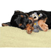 KONG WILD KNOT BEAR SMALL/MEDIUM - Habitat Pet Supplies Altona & Chirnside Park