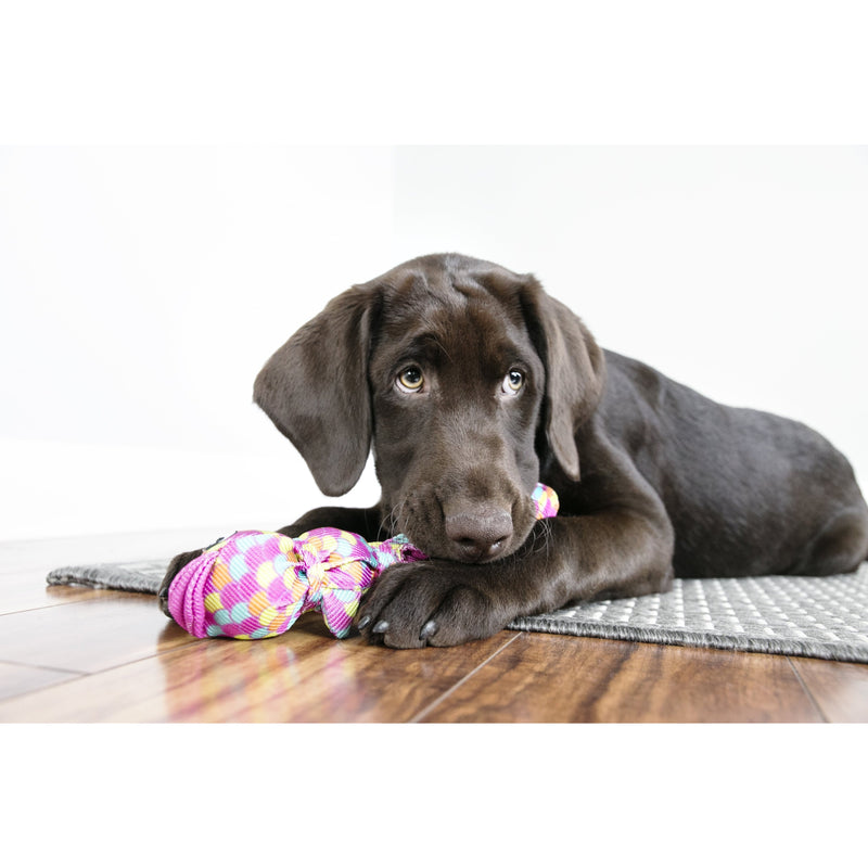 KONG Wubba Finz Blue Large Dog Toy