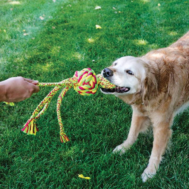 KONG Wubba Weaves With Rope Large Dog Toy