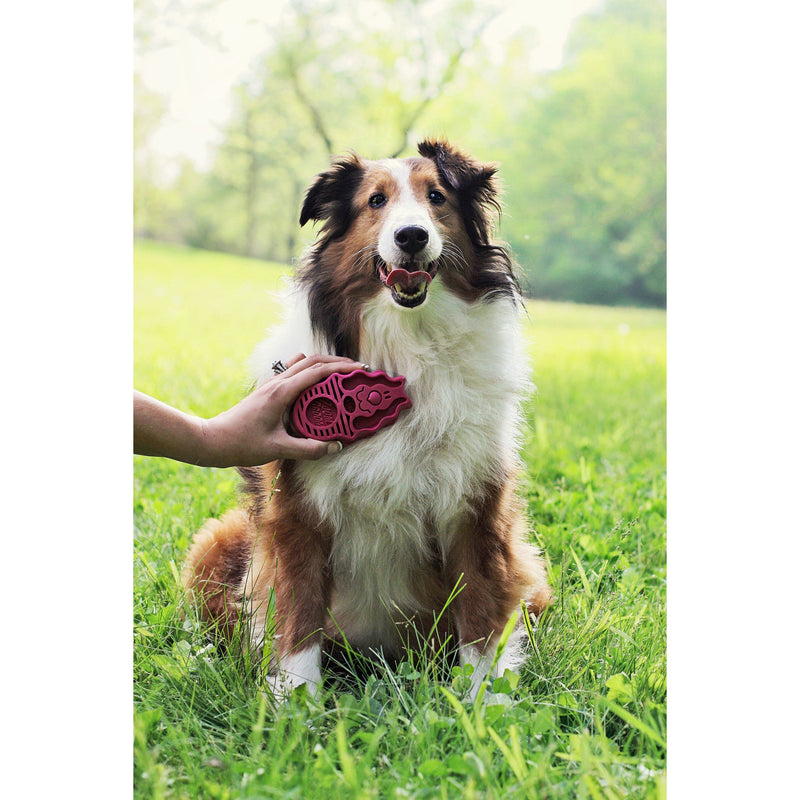 KONG ZOOMGROOM BOYSENBERRY - Habitat Pet Supplies Altona & Chirnside Park