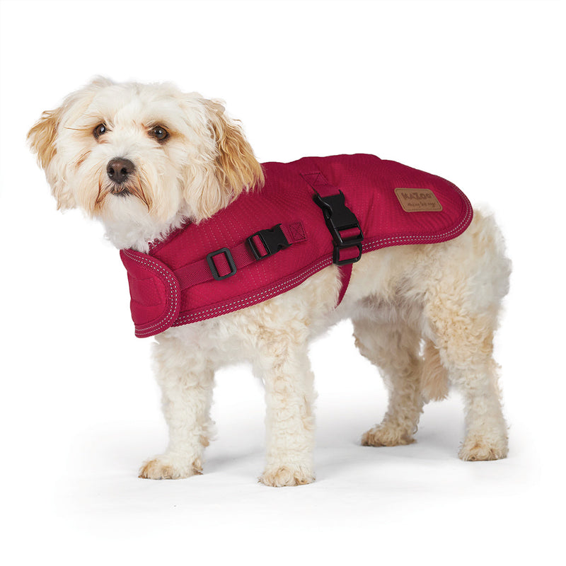 Kazoo Apparel Adventure Dog Coat Cherry Medium