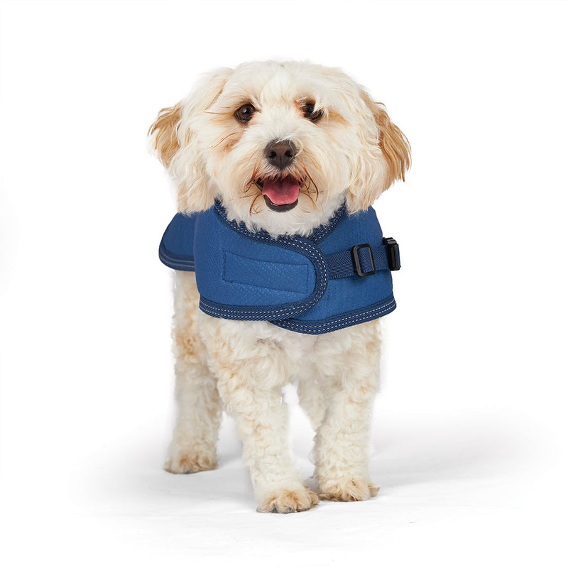 Kazoo Apparel Adventure Dog Coat River Medium*