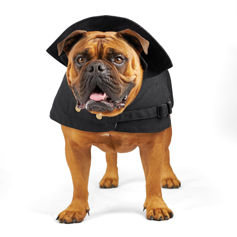 Kazoo Apparel Aussie Oilskin Dog Coat Black Extra Large