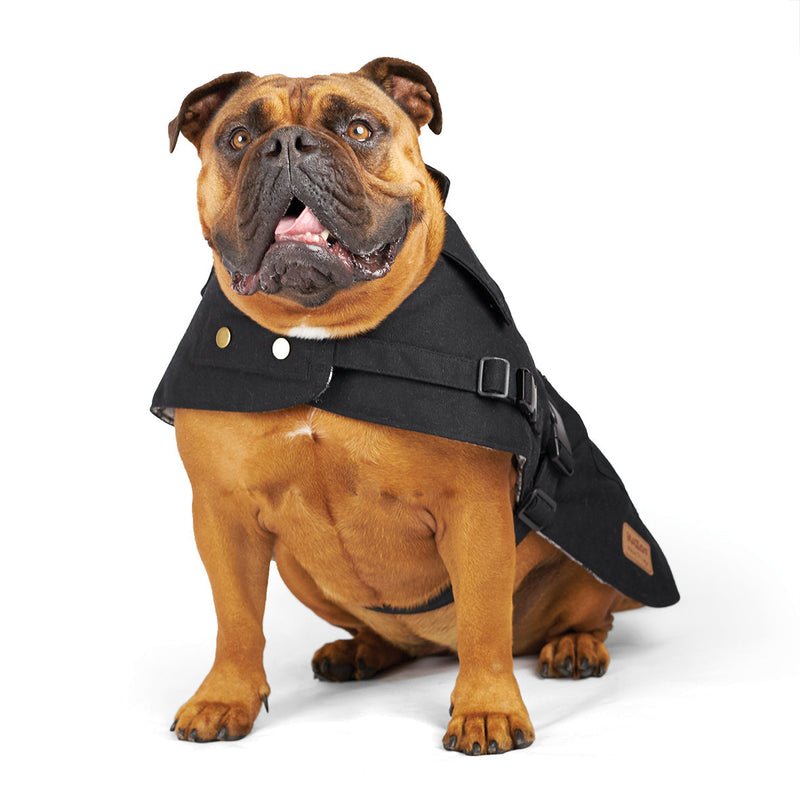 Kazoo Apparel Aussie Oilskin Dog Coat Black Intermediate