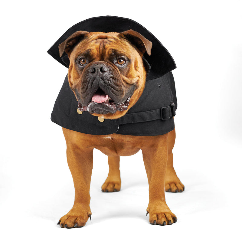 Kazoo Apparel Aussie Oilskin Dog Coat Black Intermediate