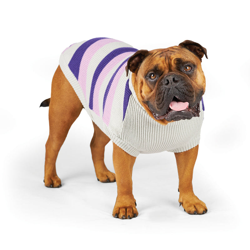 Kazoo Apparel Bumble Dog Jumper Lavender Extra Large*