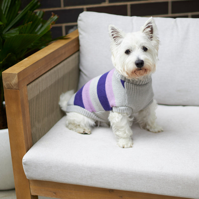 Kazoo Apparel Bumble Dog Jumper Lavender Extra Large*