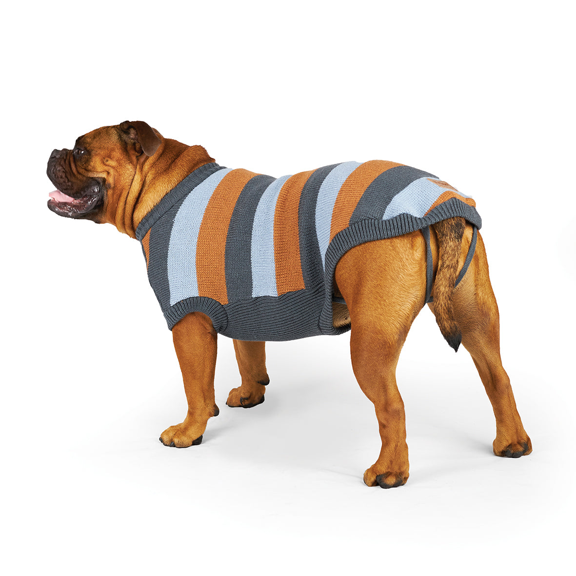 Kazoo dog jumper online