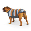 Kazoo Apparel Bumble Dog Jumper Seagrass Large