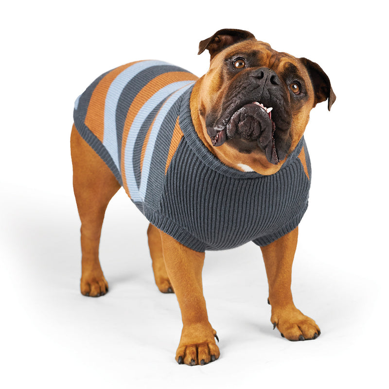 Kazoo Apparel Bumble Dog Jumper Seagrass Large*