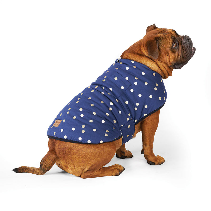 Kazoo Apparel Confetti Snuggie Dog Jacket Large