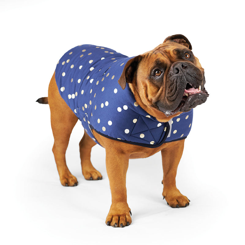 Kazoo Apparel Confetti Snuggie Dog Jacket Medium